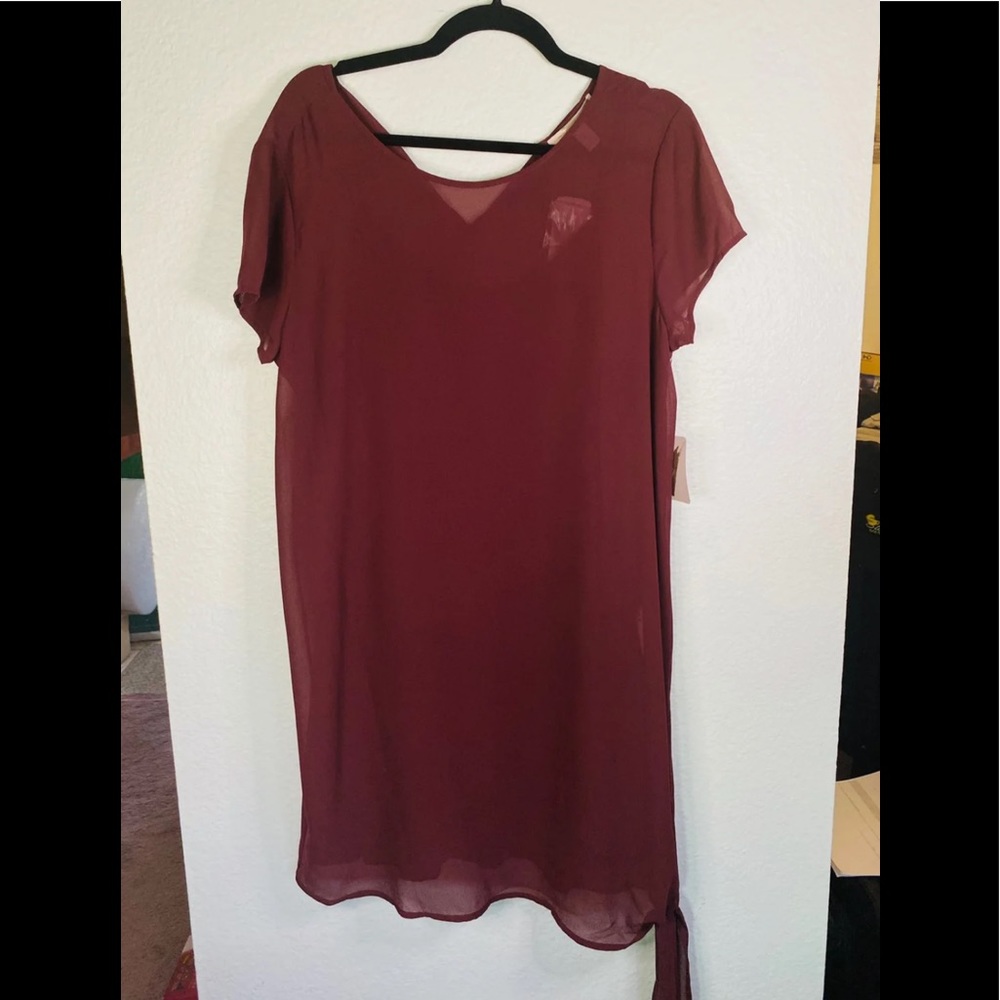 NWT FOREVER 21 SHEER DRESS w SLIP & TIES